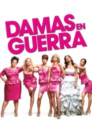 Damas en Guerra