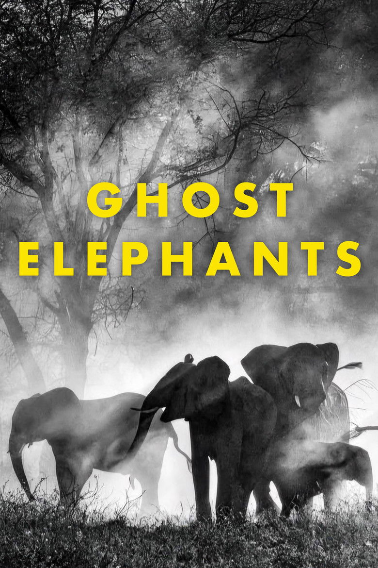 Ghost Elephants