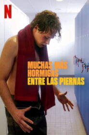 Muchas más hormigas entre las piernas