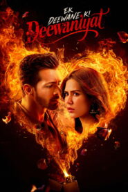 एक दीवाने की दीवानियत