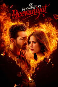 एक दीवाने की दीवानियत