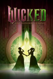 Wicked: Una noche maravillosa